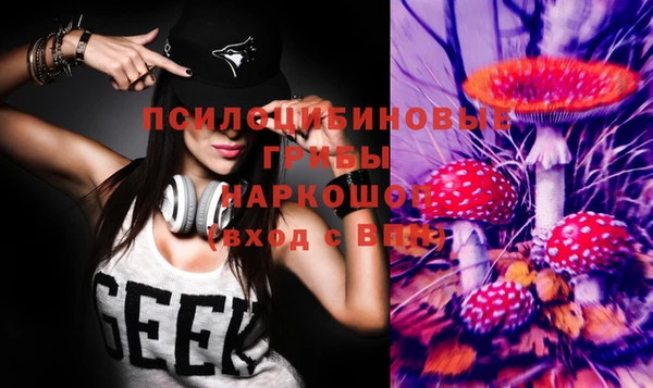 винт Михайловск