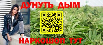 хмурый Гатчина