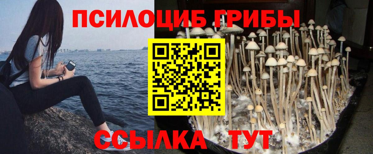 Псилоцибиновые грибы мицелий Ангарск