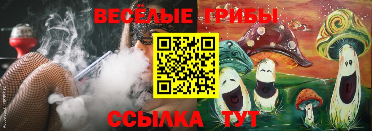 Псилоцибиновые грибы GOLDEN TEACHER Ангарск