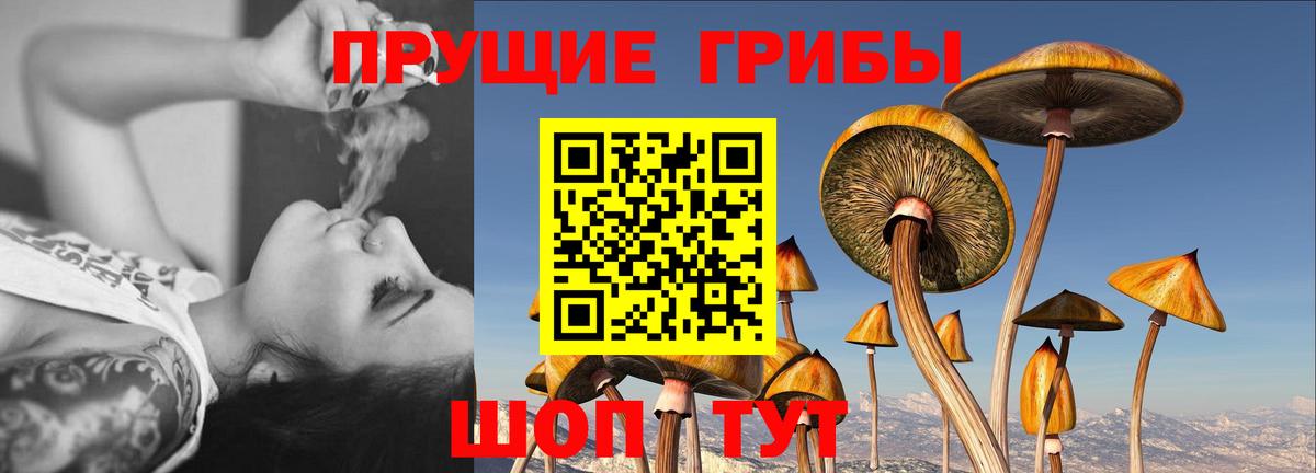 Псилоцибиновые грибы MAGIC MUSHROOMS Ангарск