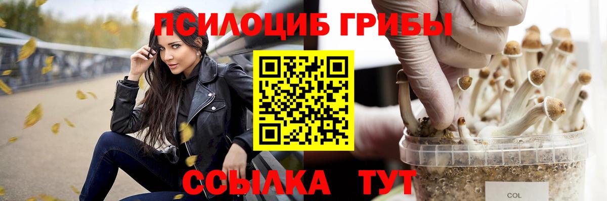 Галлюциногенные грибы Psilocybine cubensis  Вход с VPN  Ангарск 