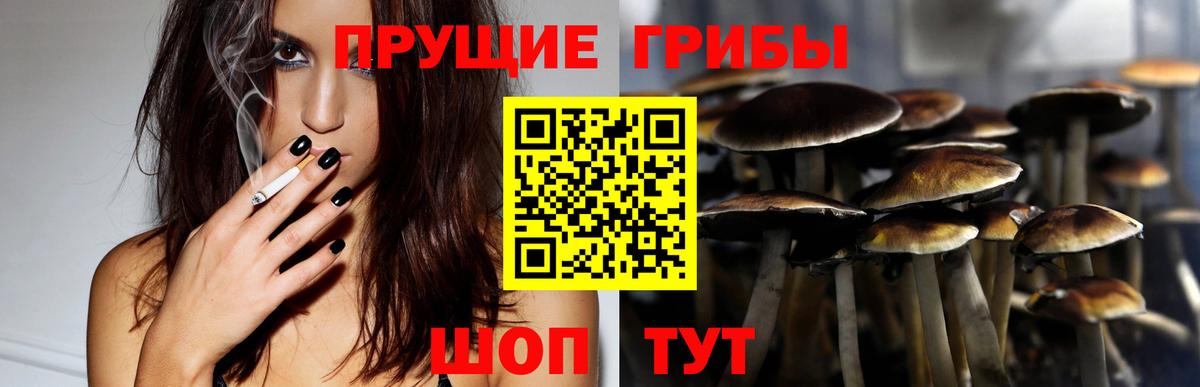 Галлюциногенные грибы ЛСД  Вход с VPN  Ангарск  Псилоцибиновые грибы прущие грибы 
